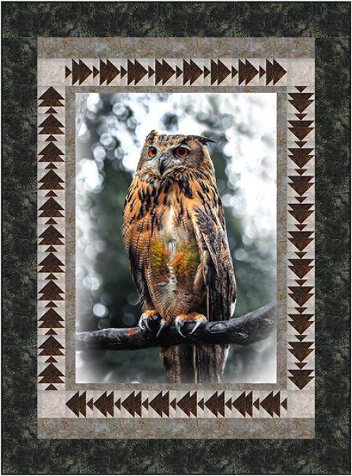 Hootie Owl by 